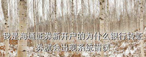 我是海通證券新開戶的為什么銀行轉證券就會出現系統(tǒng)錯誤