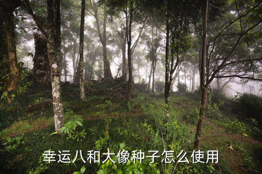 幸運(yùn)八和大像種子怎么使用