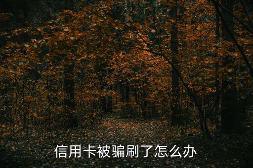 信用卡被騙刷了怎么辦