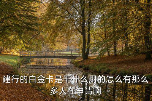 建行的白金卡是干什么用的怎么有那么多人在申請(qǐng)啊