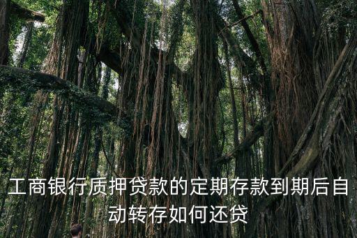 存款質(zhì)押貸款 怎么還，個(gè)人存單質(zhì)押貸款賬務(wù)處理