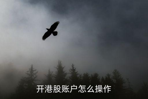 長江證券怎么開通港股，對于散戶來講港股怎么開戶方便呢