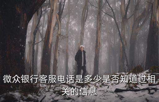 微眾銀行客服電話是多少是否知道過相關(guān)的信息