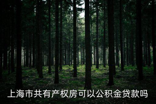 共有產(chǎn)權(quán)房怎么貸款，房屋共有權(quán)證能不能做抵押貸款