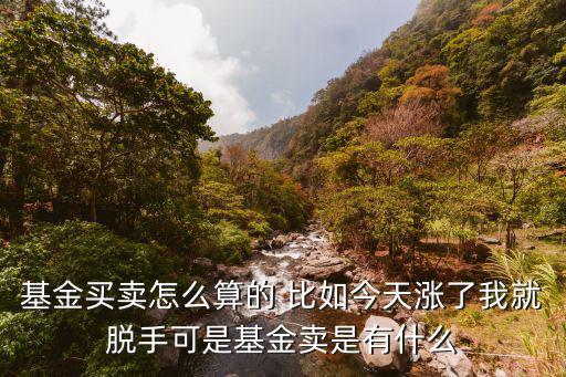 賣基金怎么算的，基金買賣怎么算的 比如今天漲了我就脫手可是基金賣是有什么