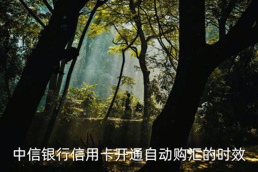 中信銀行信用卡開通自動購匯的時效