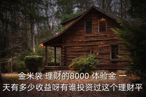 金米袋 理財(cái)?shù)?000 體驗(yàn)金 一天有多少收益呀有誰投資過這個(gè)理財(cái)平