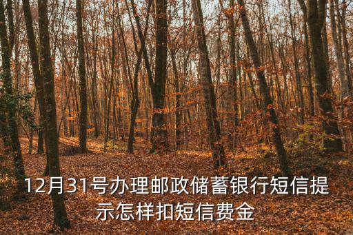 12月31號(hào)辦理郵政儲(chǔ)蓄銀行短信提示怎樣扣短信費(fèi)金