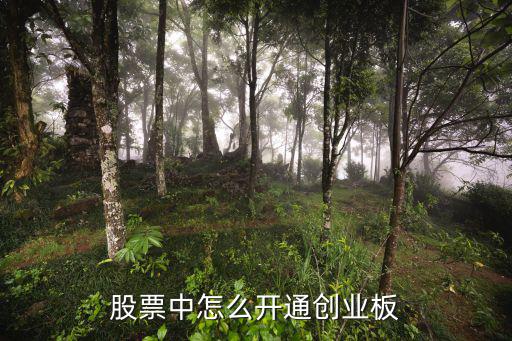 股票買創(chuàng)業(yè)板怎么開通嗎，股票中怎么開通創(chuàng)業(yè)板