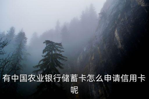 有中國(guó)農(nóng)業(yè)銀行儲(chǔ)蓄卡怎么申請(qǐng)信用卡呢