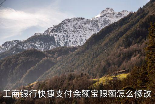 工商快捷支付每日限額怎么修改，如何修改工商銀行的日支付額度