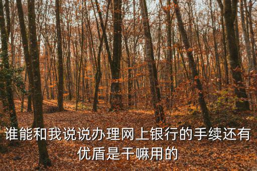誰能和我說說辦理網(wǎng)上銀行的手續(xù)還有優(yōu)盾是干嘛用的