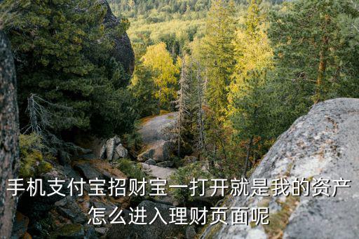 招財寶怎么進入，我下載招財寶怎么是招錢寶