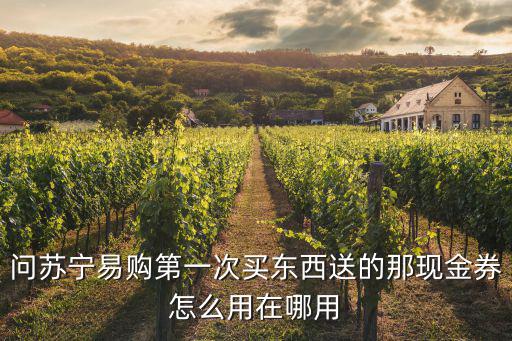 問蘇寧易購第一次買東西送的那現(xiàn)金券怎么用在哪用