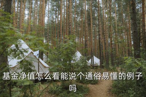 基金凈值怎么看能說個通俗易懂的例子嗎