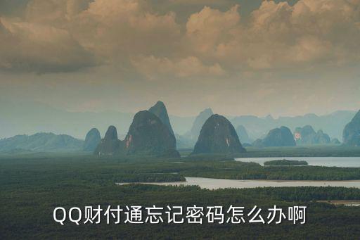 qq怎么沒財(cái)付通密碼，qq財(cái)付通密碼忘了怎么辦啊