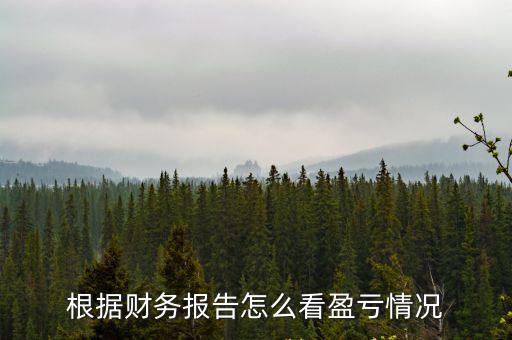 根據(jù)財務報告怎么看盈虧情況