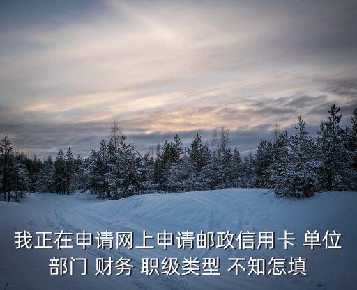 信用卡級別怎么填，辦信用卡如何填職務
