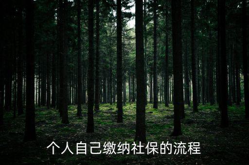 個(gè)人交金怎么交的，個(gè)人保險(xiǎn)怎么交
