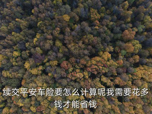 續(xù)交平安車險要怎么計算呢我需要花多錢才能省錢