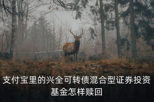 支付寶里的興全可轉(zhuǎn)債混合型證券投資基金怎樣贖回