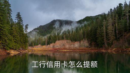 工行信用卡怎么提額