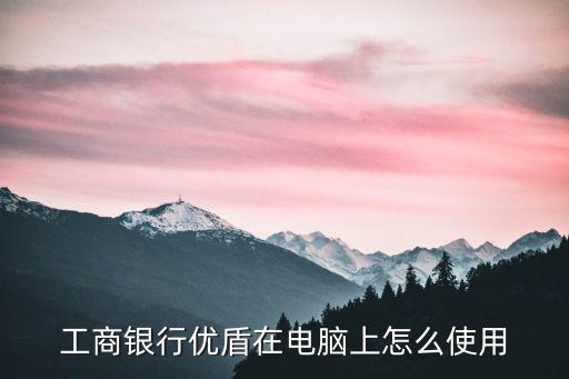 工商2代優(yōu)盾怎么使用，優(yōu)盾怎么用