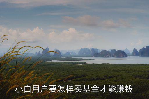 小白用戶要怎樣買基金才能賺錢
