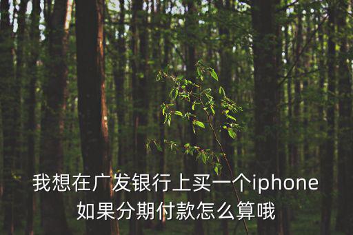 我想在廣發(fā)銀行上買一個(gè)iphone如果分期付款怎么算哦