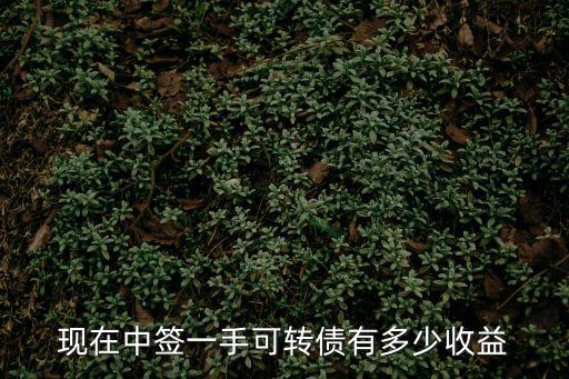 現(xiàn)在中簽一手可轉(zhuǎn)債有多少收益