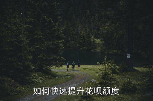 花唄怎么馬上提額，螞蟻花唄怎樣快速 提升額度
