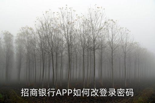 招商銀行APP如何改登錄密碼