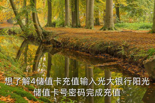 怎么給光大速通卡充值，想了解4儲值卡充值輸入光大銀行陽光儲值卡號密碼完成充值