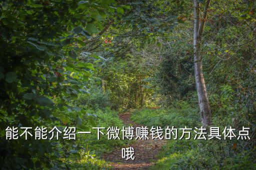 能不能介紹一下微博賺錢的方法具體點(diǎn)哦