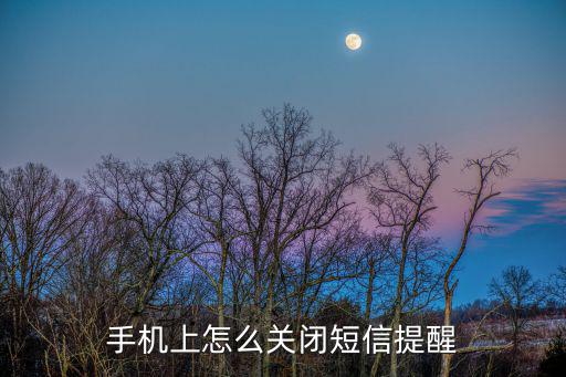 手機(jī)上怎么關(guān)閉短信提醒