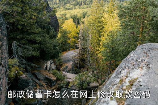 郵政儲(chǔ)蓄卡怎么在網(wǎng)上修改取款密碼
