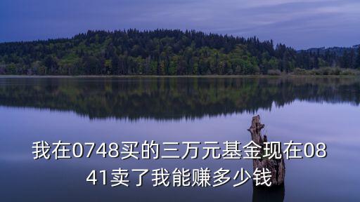 我在0748買的三萬元基金現(xiàn)在0841賣了我能賺多少錢