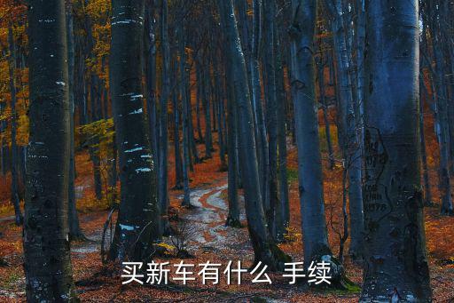 買新車有什么 手續(xù)