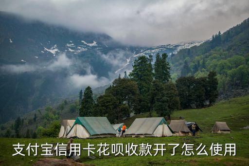 支付寶信用卡花唄收款開了怎么使用