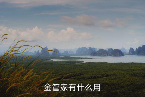 金管家有什么用