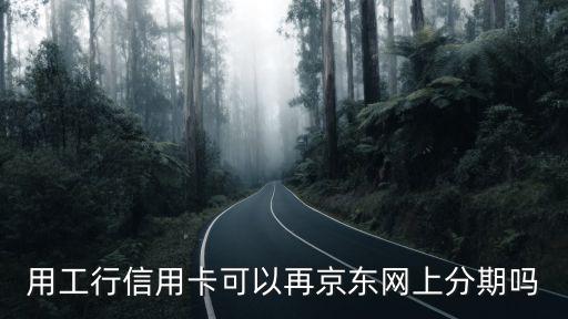 用工行信用卡可以再京東網(wǎng)上分期嗎
