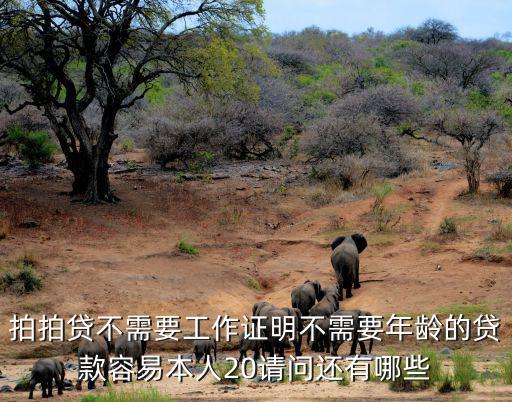 拍拍貸不需要工作證明不需要年齡的貸款容易本人20請問還有哪些
