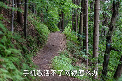 手機(jī)激活不了網(wǎng)銀怎么辦