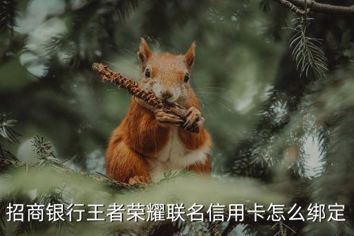 招商銀行王者榮耀聯(lián)名信用卡怎么綁定