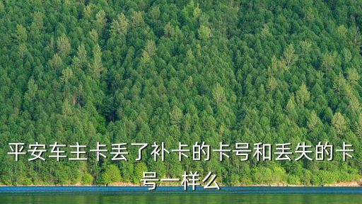 平安車(chē)主卡丟了怎么辦，平安車(chē)主卡丟失補(bǔ)卡需多少錢(qián)