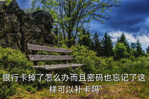 銀行掉怎么處理方法，銀行卡掉了怎么辦而且密碼也忘記了這樣可以補卡嗎