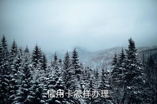 信用卡怎樣辦理