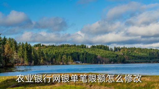 農(nóng)業(yè)銀行網(wǎng)銀單筆限額怎么修改