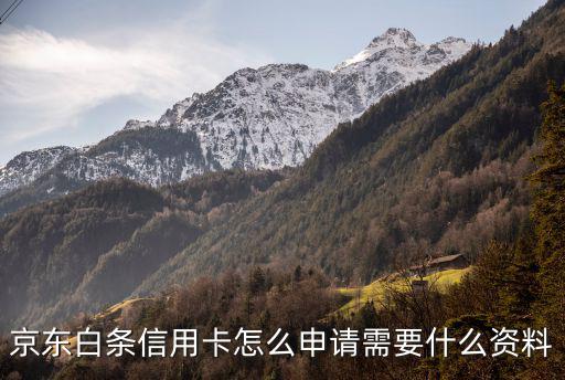 京東白條信用卡怎么申請(qǐng)需要什么資料