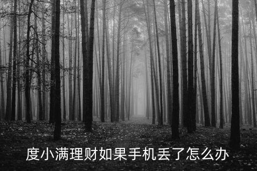度小滿(mǎn)理財(cái)如果手機(jī)丟了怎么辦